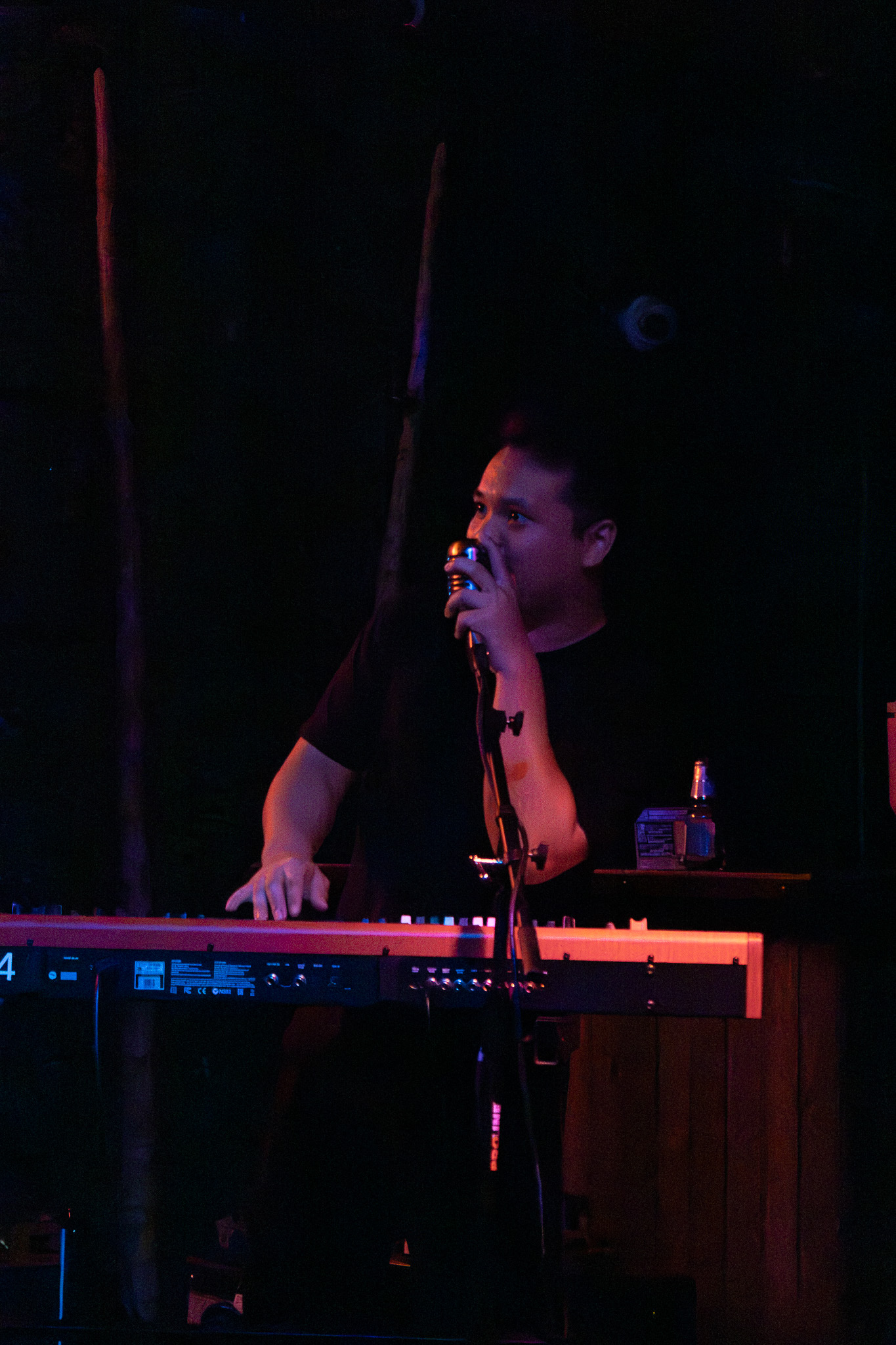 Keyboardist singing on stage
